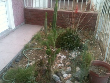 Imagen 5