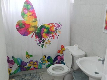 Imagen 14