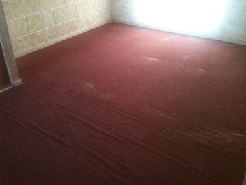Imagen 8