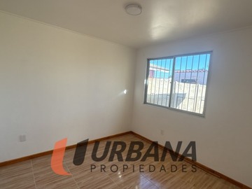 Imagen 12