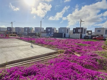 Arriendo Mensual / Casa / Coquimbo