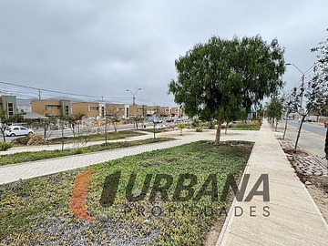 Imagen 18