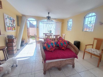 Imagen 6