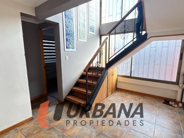 Imagen 6