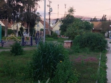 Imagen 5