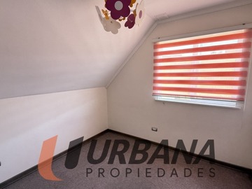 Imagen 13