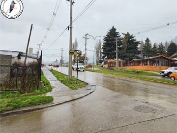 Imagen 11