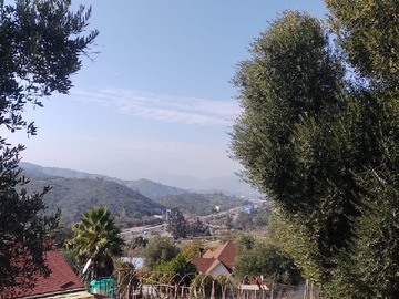 Imagen 6