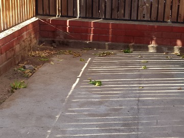 Arriendo Mensual / Casa / Curacaví