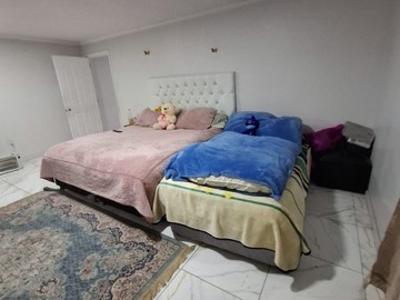 Imagen 22