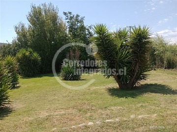 Imagen 10