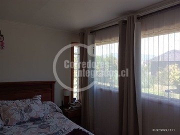 Imagen 15