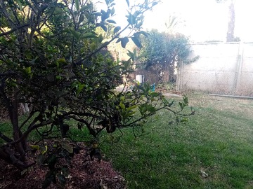 Imagen 18