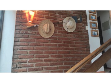 Imagen 25
