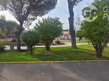 Imagen 21