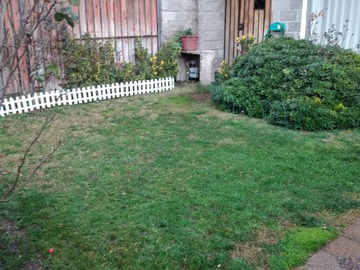 Imagen 18