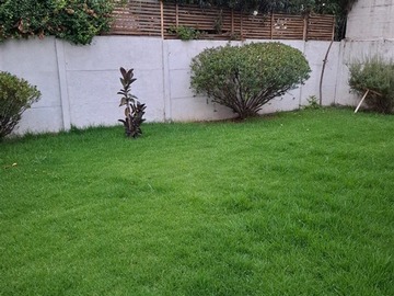 Imagen 9