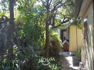 Imagen 6