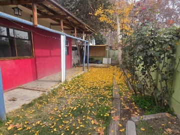 Imagen 14