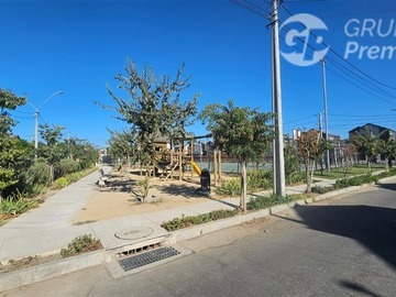 Imagen 11