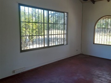 Imagen 7