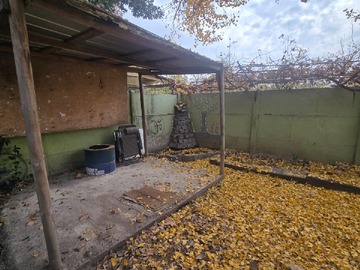Imagen 13