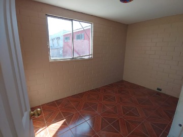 Imagen 7
