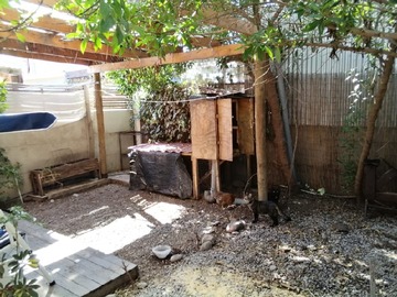 Imagen 6