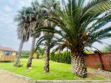 Arriendo Mensual / Casa / Isla de Maipo