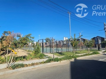 Imagen 13