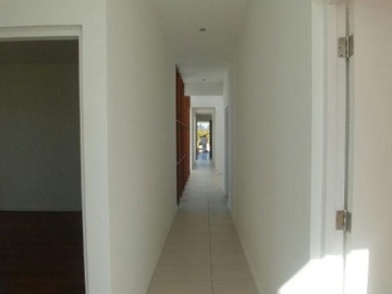 Imagen 7