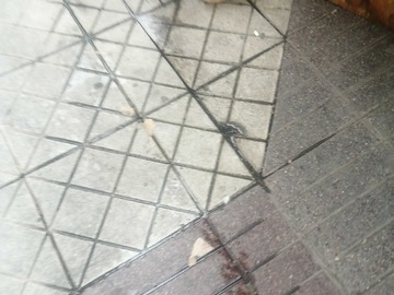 Imagen 7