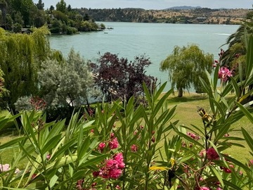 Arriendo Mensual / Casa / La Estrella