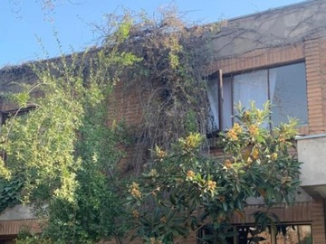 Arriendo Mensual / Casa / La Florida