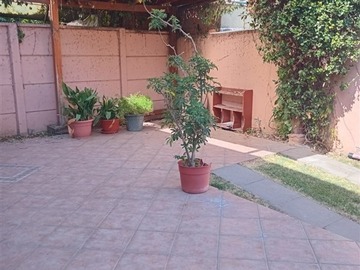 Imagen 17
