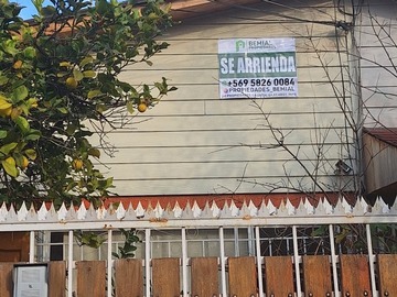 Imagen 11