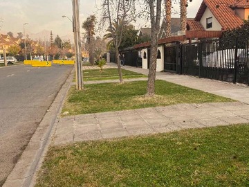 Imagen 21