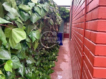 Imagen 6