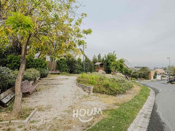 Imagen 23