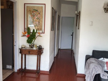 Imagen 7