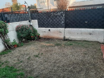 Imagen 5