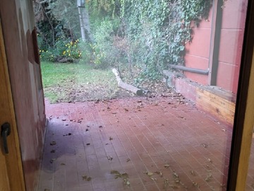 Imagen 18
