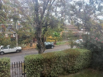 Imagen 5