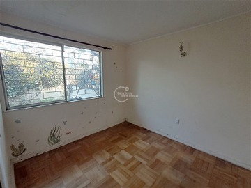 Imagen 13
