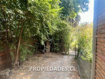 Imagen 11