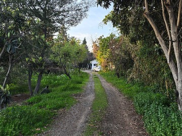 Imagen 14