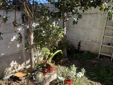 Imagen 13