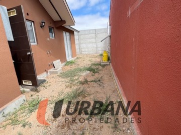 Imagen 8
