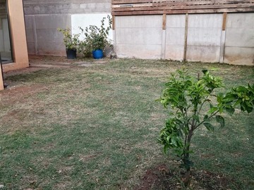 Imagen 13