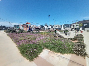 Imagen 17